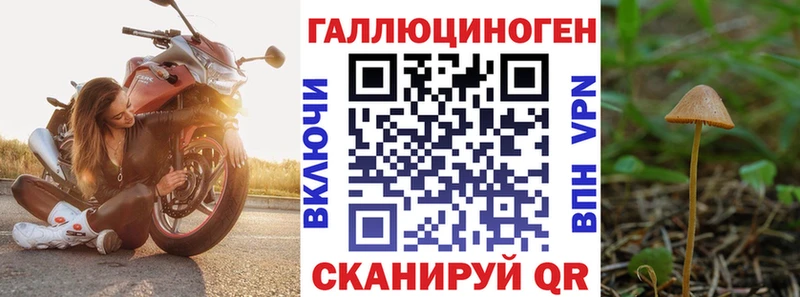 Галлюциногенные грибы Psilocybe  сколько стоит  Калуга 